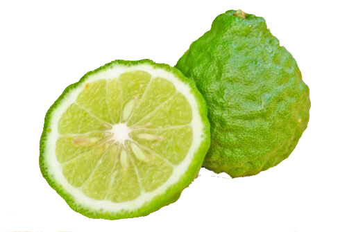 Guide till Snuskryddor