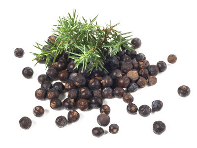 Guide till Snuskryddor