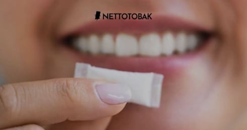 Vitt snus och risken för sår i munnen