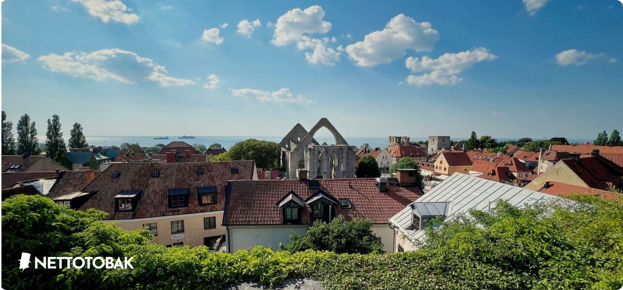 Snus startar företag på gotland