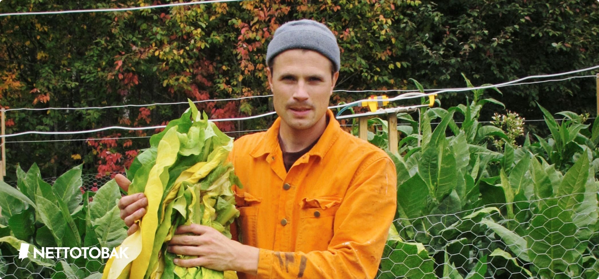 Per Englund göra eget snus