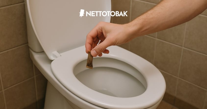 Världstoalettdagen – En dag för att snacka skit (men på ett bra sätt)