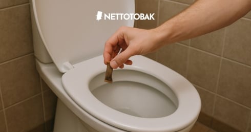 Världstoalettdagen – En dag för att snacka skit (men på ett bra sätt)