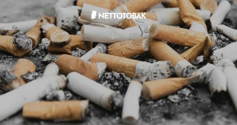 Ny studie: Snuset räddar liv