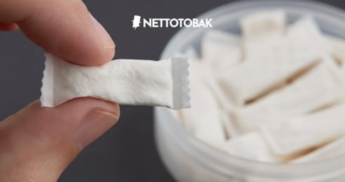Bästa nikotinfria snuset? - Nettotobak undersöker!