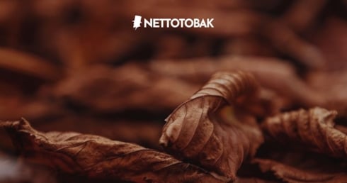 Tobaksfritt snus som smakar snus