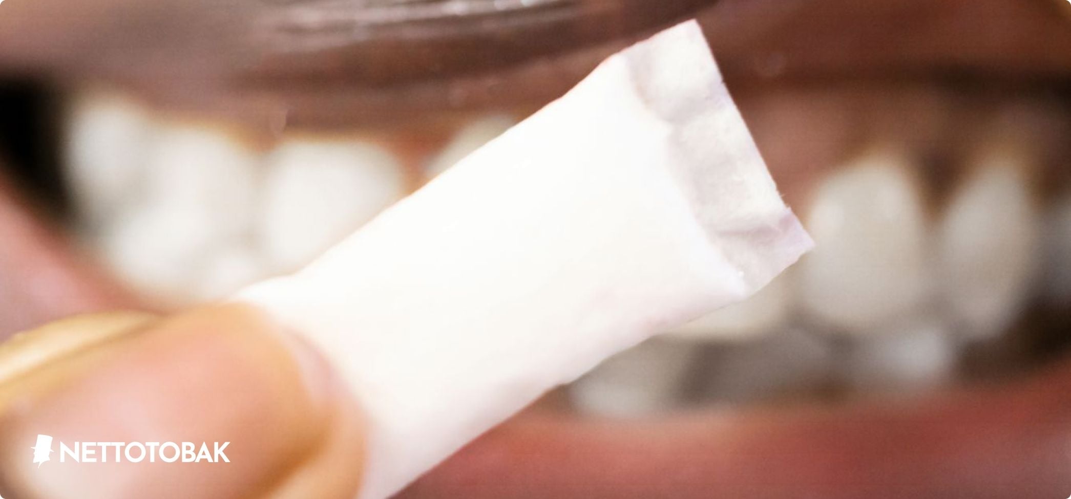 en vit snus i närbild