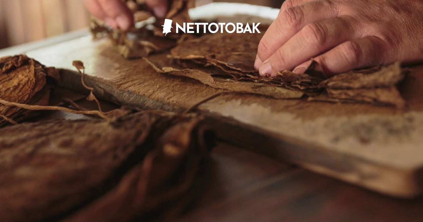 tobak på nettotobak