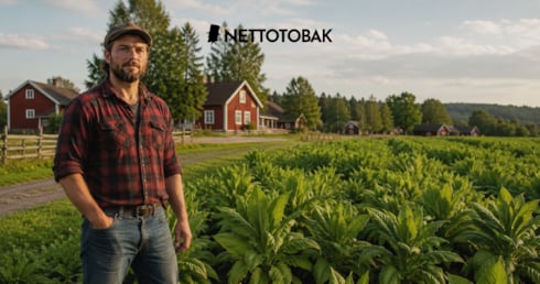 Konsten att odla egen tobak