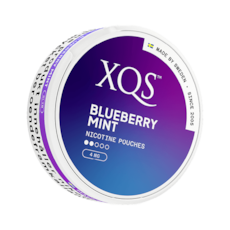 XQS Blueberry Mint
