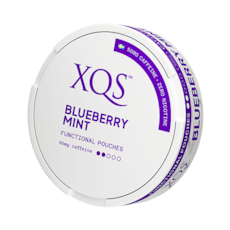XQS Blueberry Mint Nikotinfritt Snus