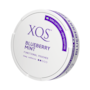 XQS Blueberry Mint Nikotinfritt Snus