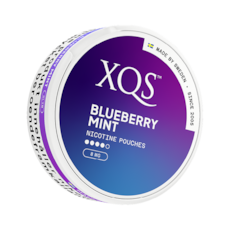 XQS Blueberry Mint Strong