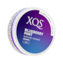 XQS Blueberry Mint Strong