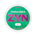 ZYN Cactus Spice Slim S4