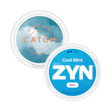 Catch and Zyn Mini Eukalyptus Mint S2 2-pack