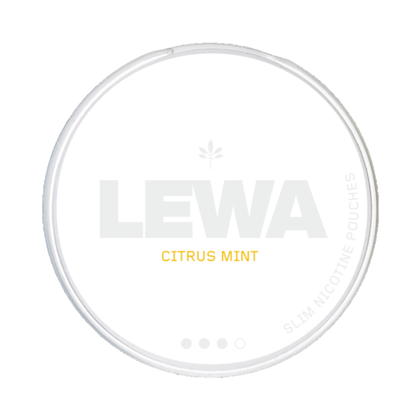 LEWA Citrus Mint S3