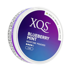 XQS Blueberry Mint Strong