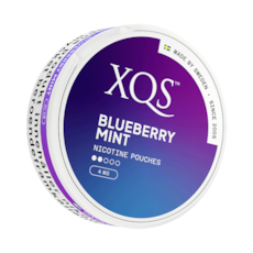 XQS Blueberry Mint