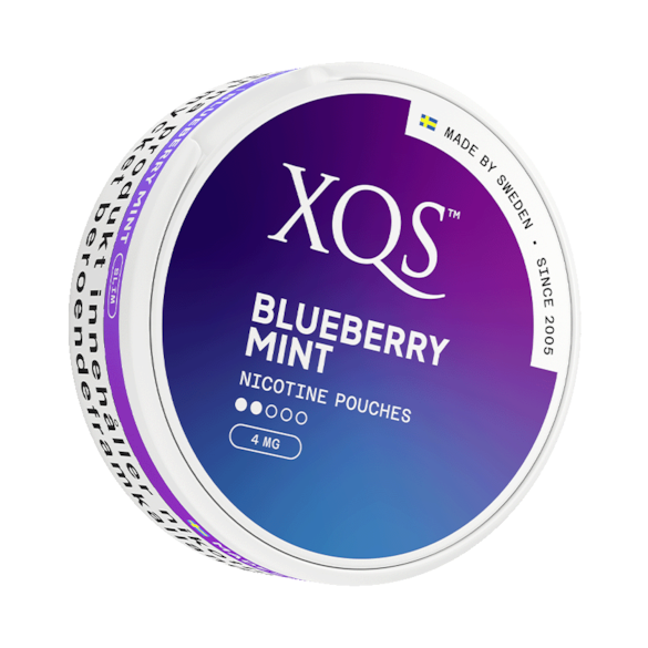 XQS Blueberry Mint