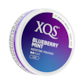 XQS Blueberry Mint