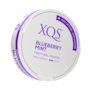 XQS Blueberry Mint Nikotinfritt Snus