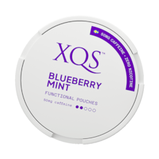 XQS Blueberry Mint Nikotinfritt Snus