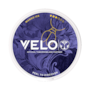 Velo Tomorrowland Limited Edition 2026