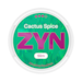 ZYN Cactus Spice Slim S3