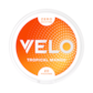 Velo Tropical Mango Zero Nikotinfritt Snus