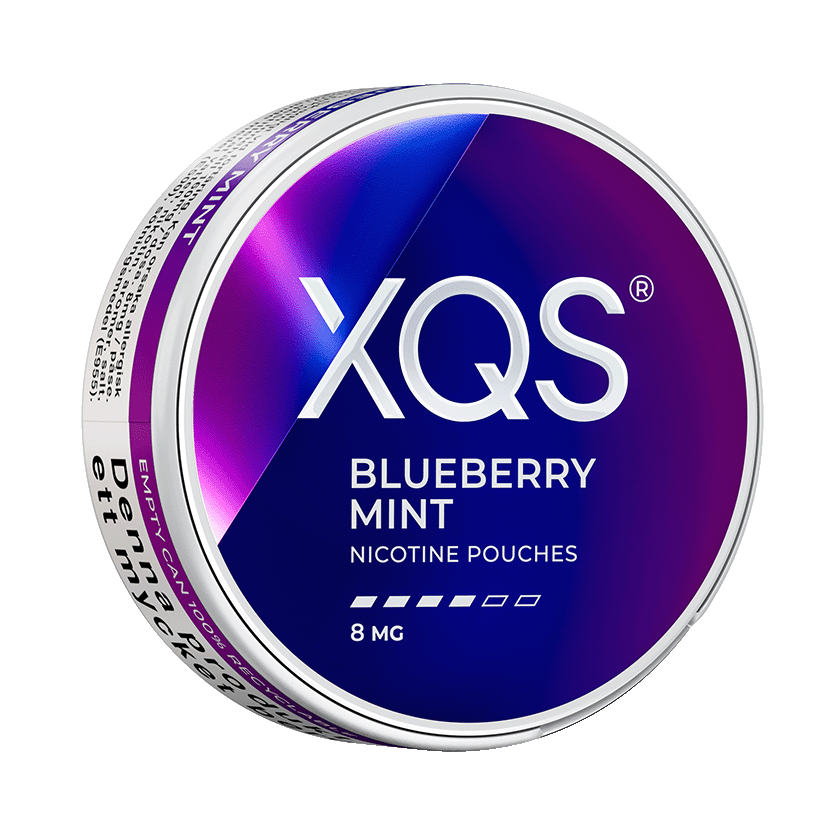 XQS Blueberry Mint 8mg dosa