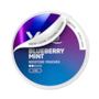 XQS Blueberry Mint