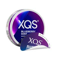 XQS Blueberry Mint