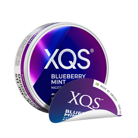XQS Blueberry Mint