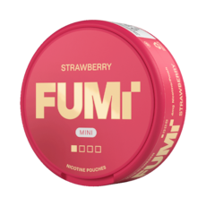 FUMi Strawberry Mini Regular