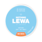 LEWA Nothing Nordic Mint Nikotinfritt Snus